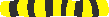 lid